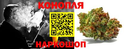 ешки Новодвинск