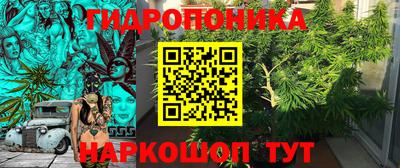 соль ск Новозыбков