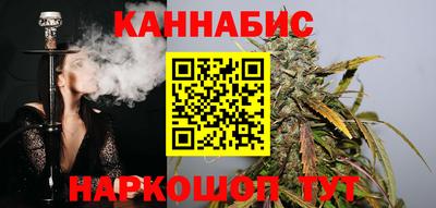 соль ск Новозыбков